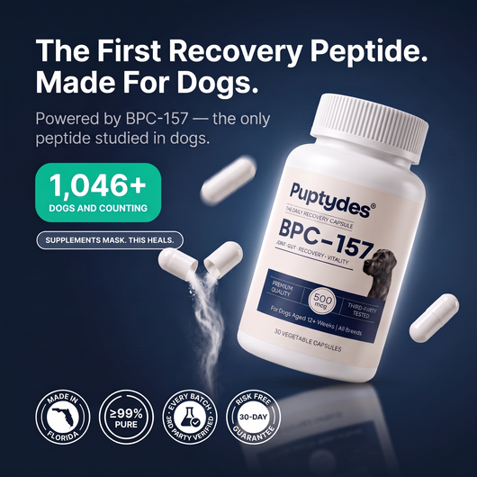 Puptydes BPC-157 Joint, Tissue, & Gut Restore