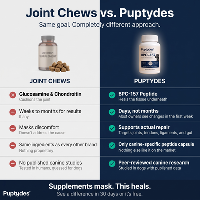Puptydes BPC-157 Joint, Tissue, & Gut Restore