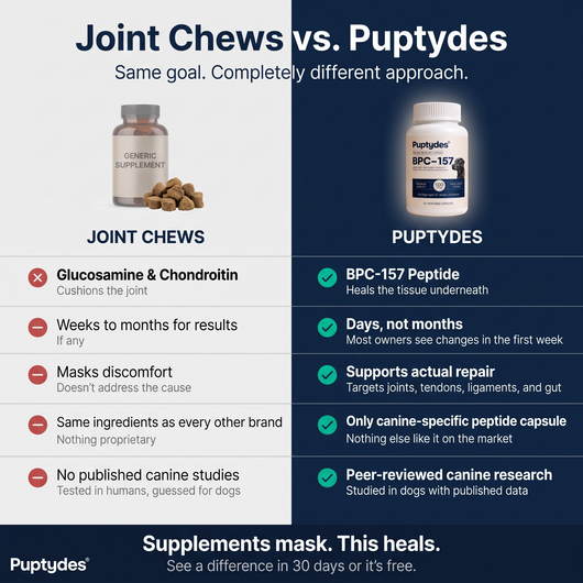 Puptydes BPC-157 Joint, Tissue, & Gut Restore
