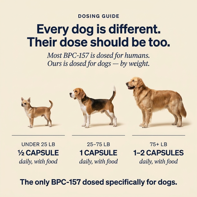 Puptydes BPC-157 Joint, Tissue, & Gut Restore VIP