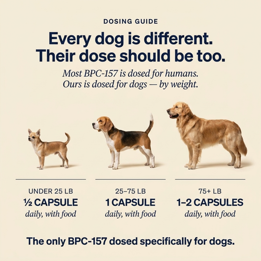 Puptydes BPC-157 Joint, Tissue, & Gut Restore VIP