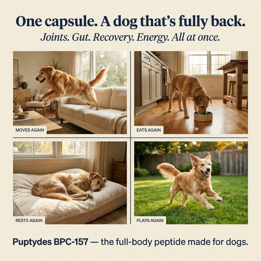 Puptydes BPC-157 Joint, Tissue, & Gut Restore VIP