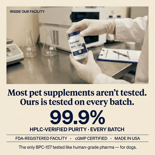 Puptydes BPC-157 Joint, Tissue, & Gut Restore VIP