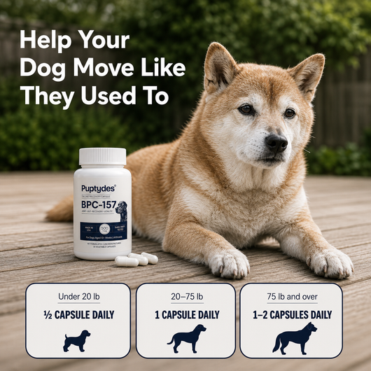 Puptydes BPC-157 Joint, Tissue, & Gut Restore