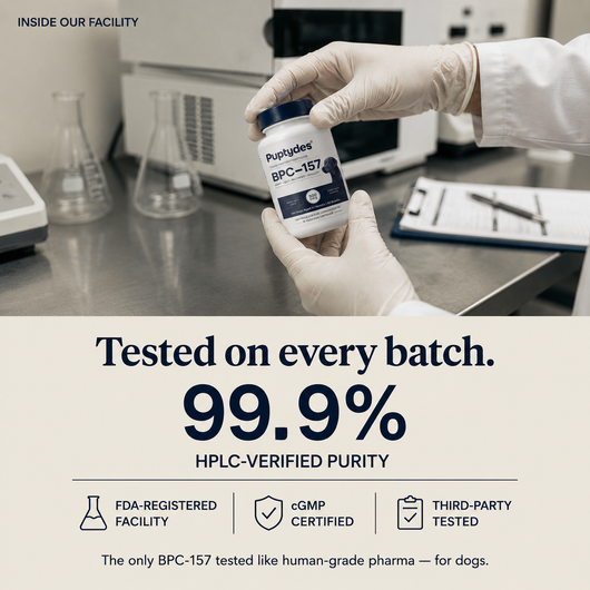 Puptydes BPC-157 Joint, Tissue, & Gut Restore