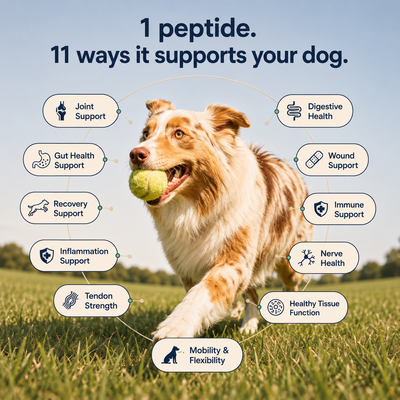 Puptydes BPC-157 Joint, Tissue, & Gut Restore